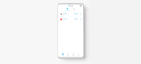 Mt Pelerin Bridge Wallet