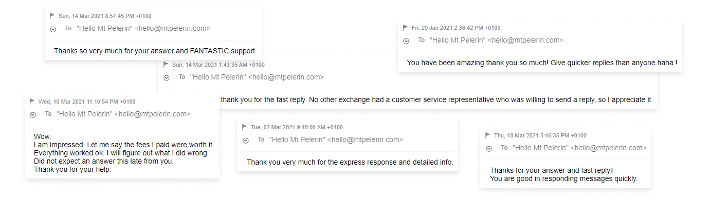 Bridge Wallet customer testimonials