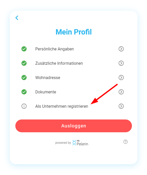 Mt Pelerin invoice payment widget screenshot 2