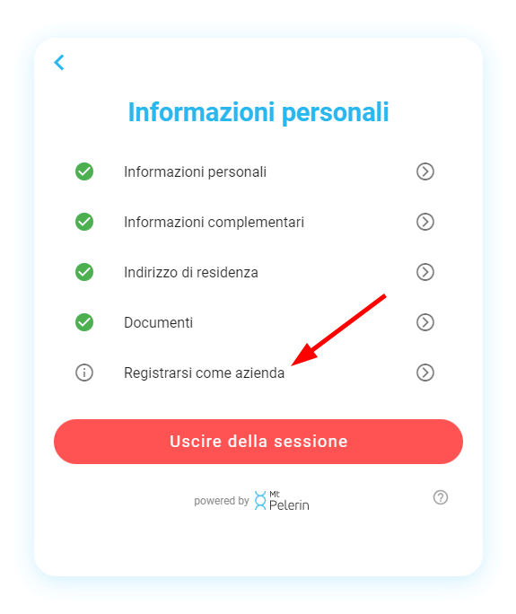 Mt Pelerin invoice payment widget screenshot 2